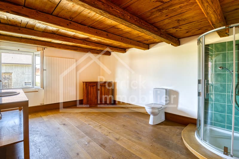 Ferme de caractère avec dépendance sur 1'623 m² à Vesin (13)