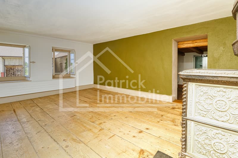 Ferme de caractère avec dépendance sur 1'623 m² à Vesin (11)