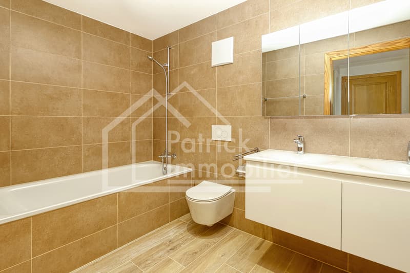Spacieux appartement de 5.5 pièces avec terrasse de 100 m² (7)