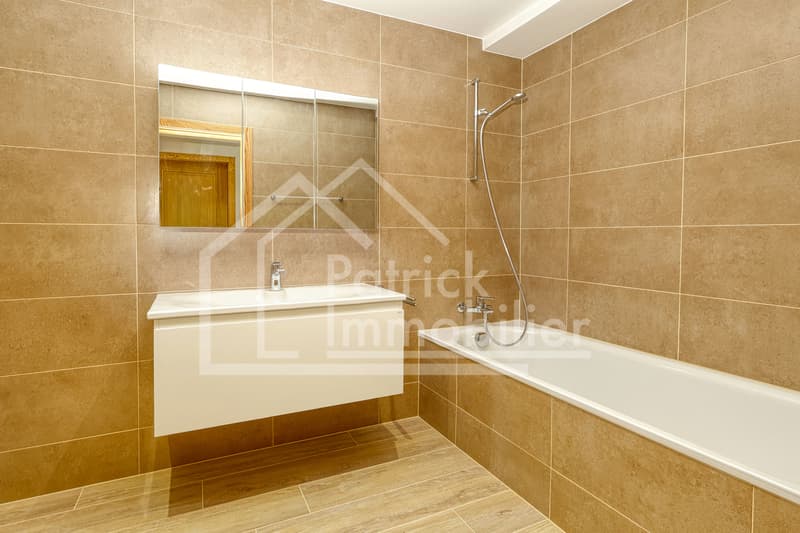 Spacieux appartement de 5.5 pièces avec terrasse de 100 m² (6)