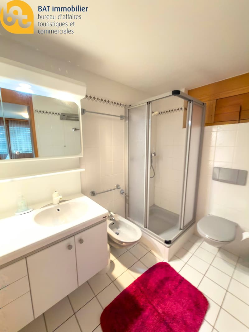 Location touristique -  Agréable chalet à Vercorin avec vue sur la plaine (17)