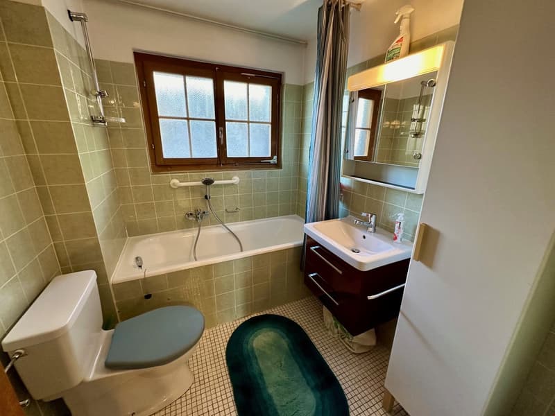Appartement 3 pièces à côté du centre de Vercorin - printemps été 2026 (11)