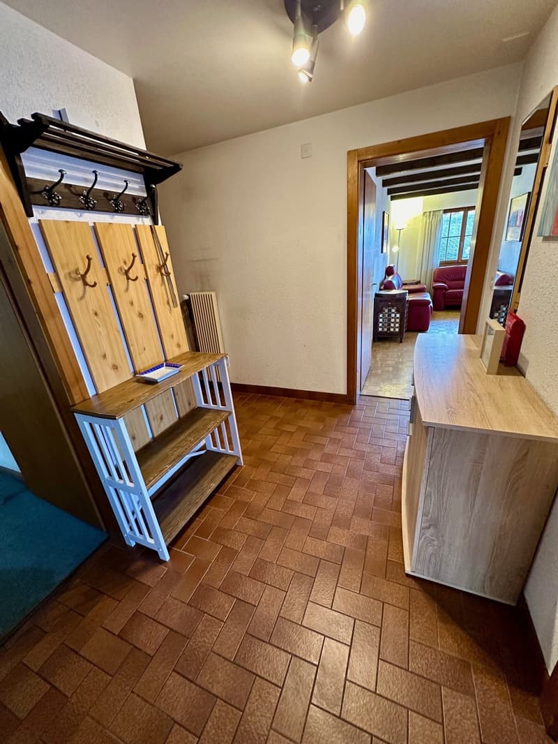 Appartement 3 pièces à côté du centre de Vercorin - printemps été 2026 (7)