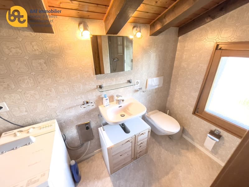 Duplex sur les hauteurs de Vercorin pour 7 personnes (7)