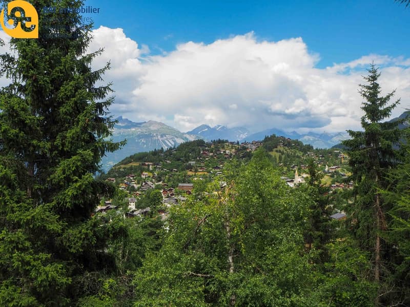 Appartement lumineux de 2 pièces à Vercorin (9)