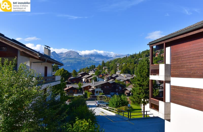 Chalet renové "Raccard des Arolles" (20)