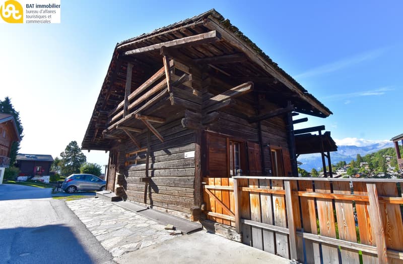 Chalet renové "Raccard des Arolles" (17)