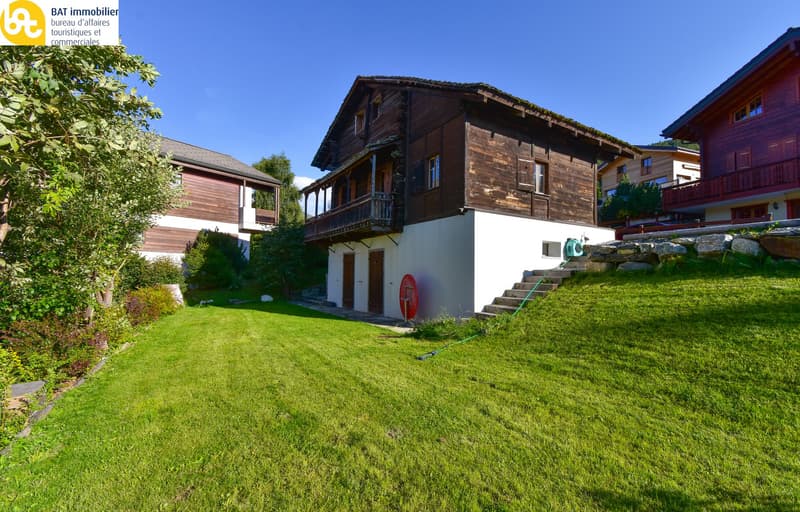 Chalet renové "Raccard des Arolles" (1)