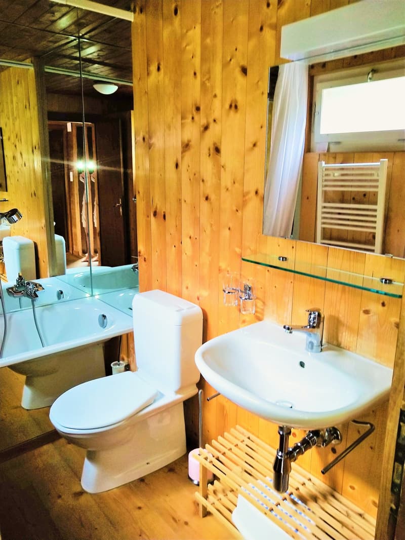 Chalet "Spirou" 5 pièces à Vercorin (9)
