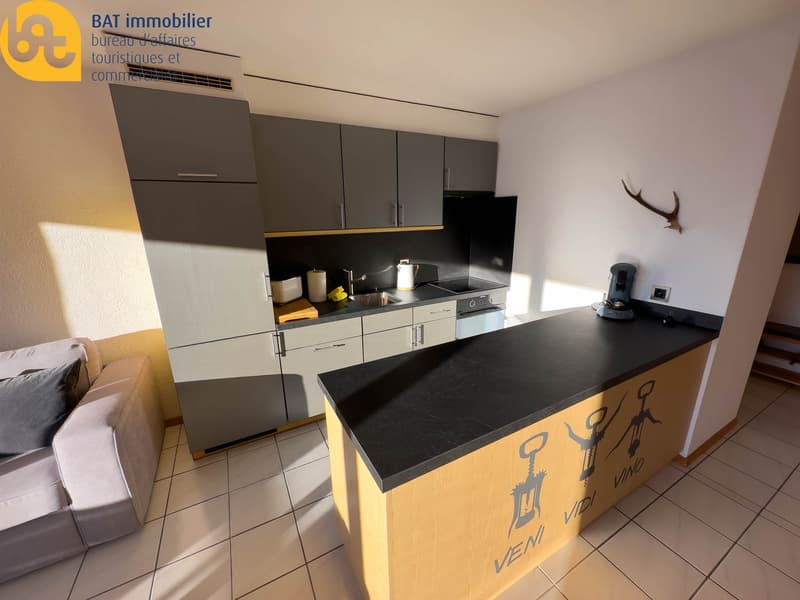 Appartement touristique à Nax - Les Jausses 3 "La Maya" n° 185 (4)