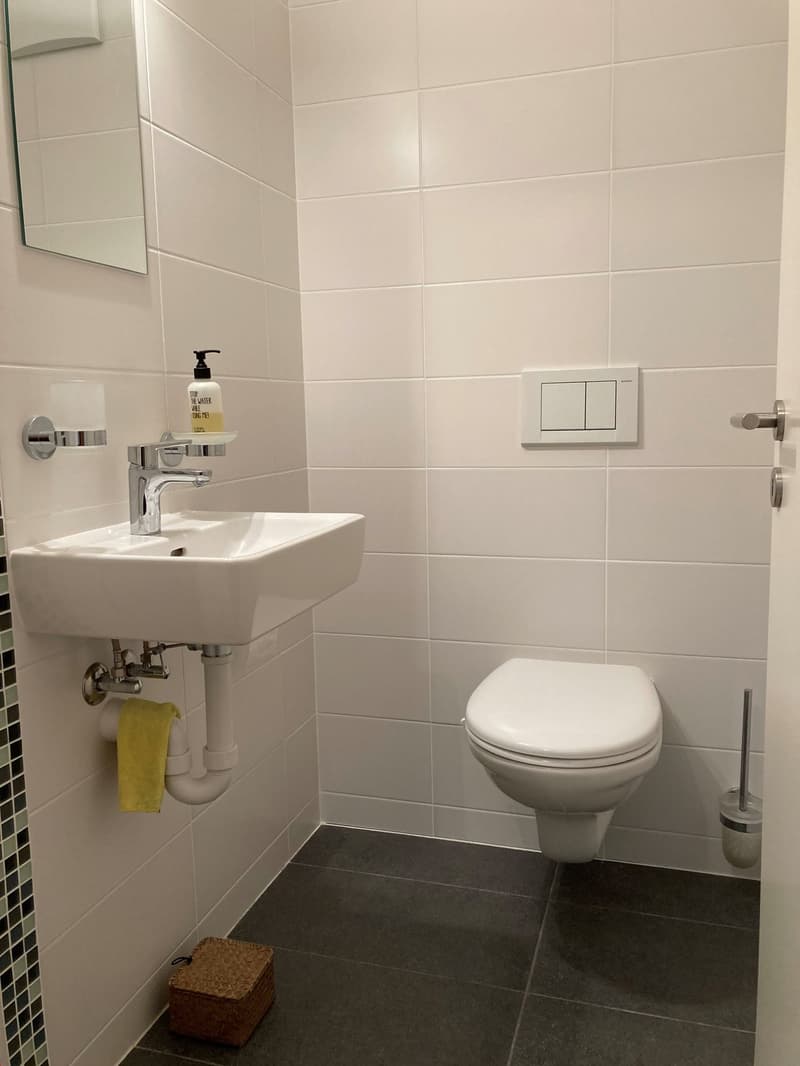 A louer pour une année - Magnifique duplex avec vue imprenable à Nax (12)