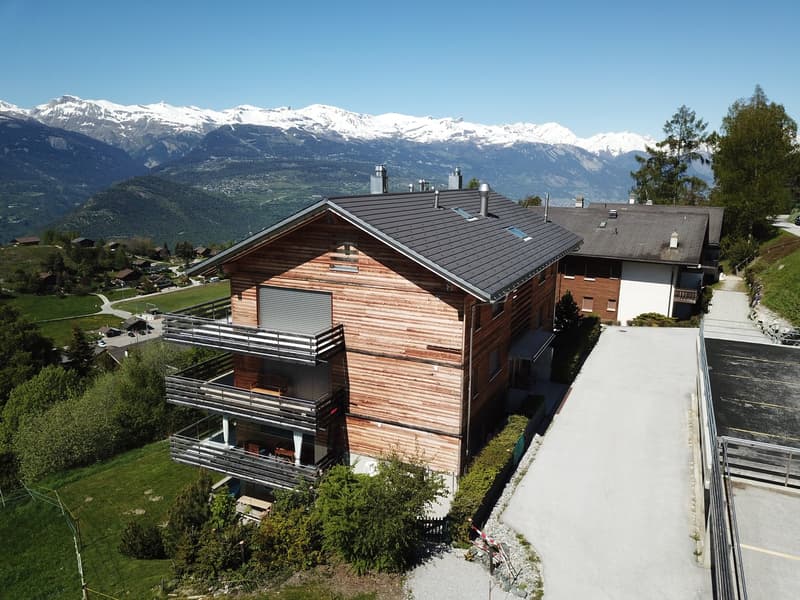 wooden exterior, multiple balconies, gray roof, surrounded by greenery, mountain view