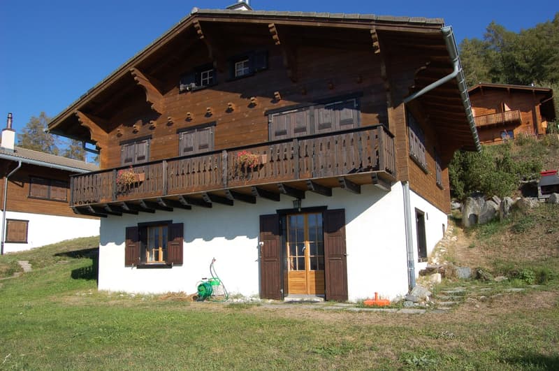 VACANCES - location de chalets à Nax ou Mase (11)
