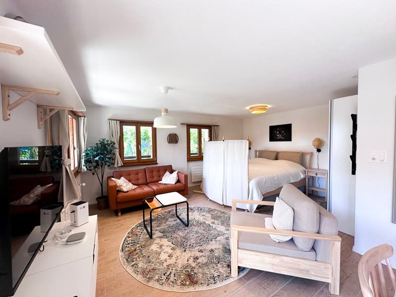 VACANCES - Appartements à louer à Vercorin - Valais central (2)