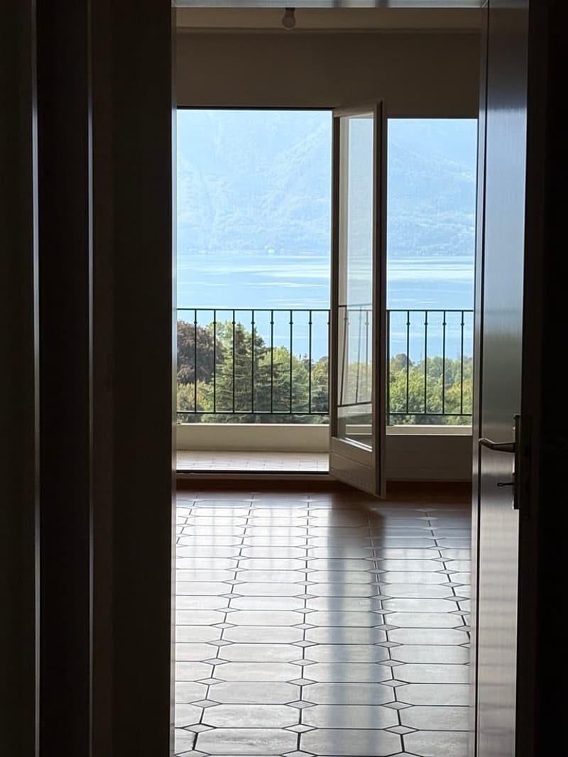 Magnifique 3,5 pièces avec vue sur le lac (2)
