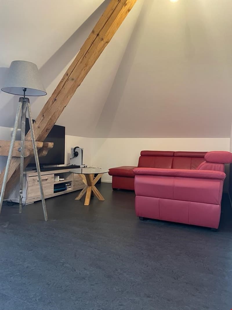 a room with a pink sofa, a table, a TV, and a lamp