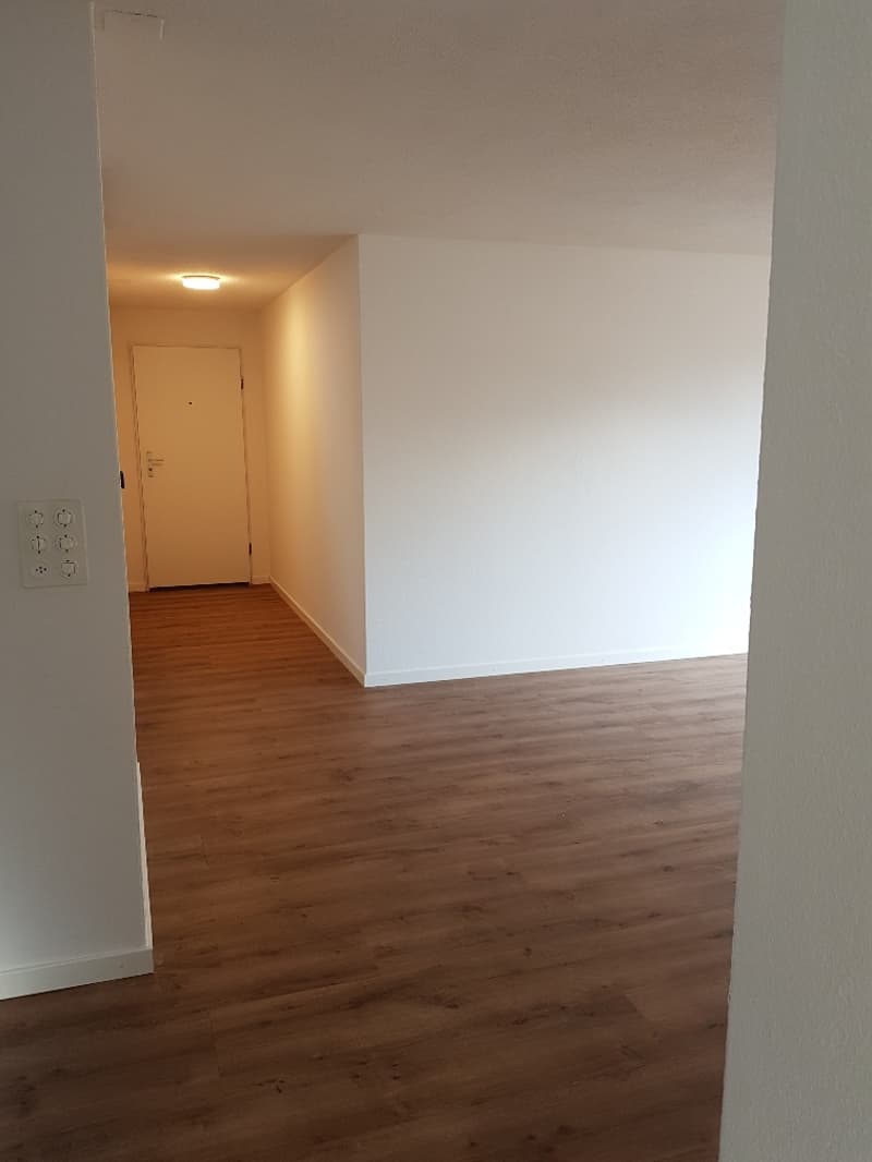 TOP-GELEGENHEIT: Komfortable Wohnung mit grossem Balkon (9)