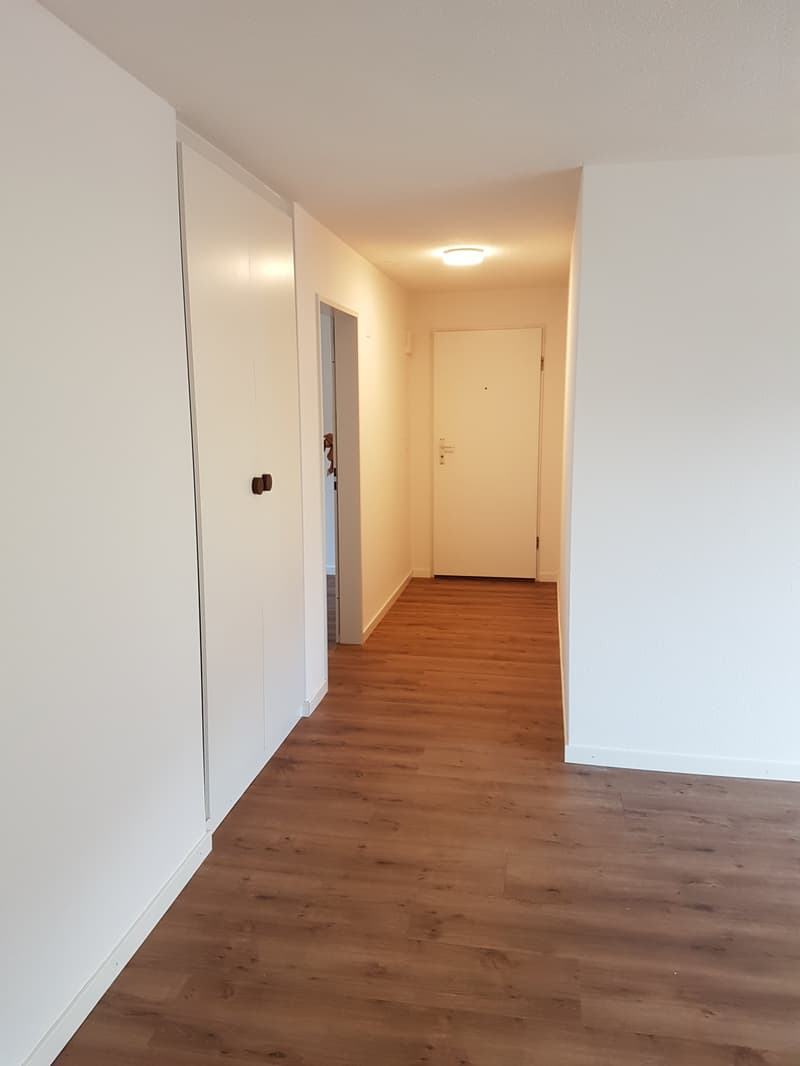 TOP-GELEGENHEIT: Komfortable Wohnung mit grossem Balkon (10)