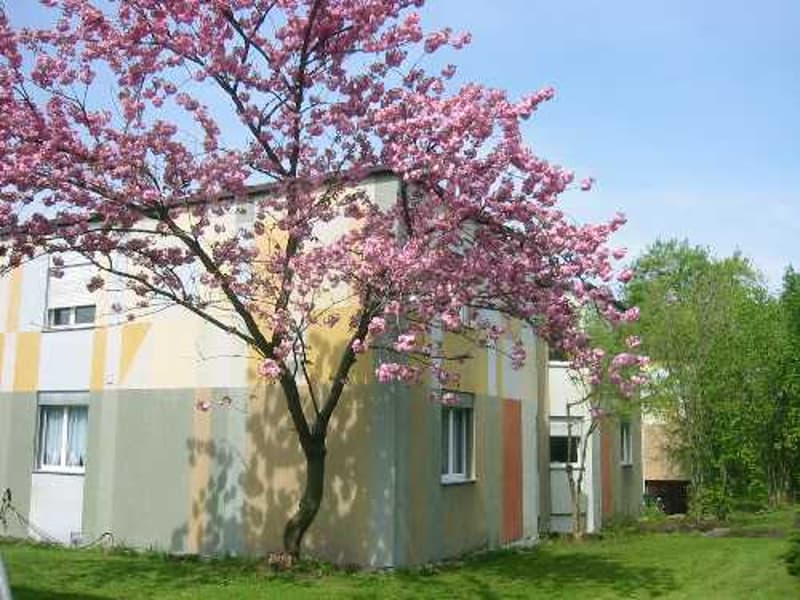 4 1/2 Zi.-Wohnung, sonnig und hell in 4 Fam.-Haus (15)