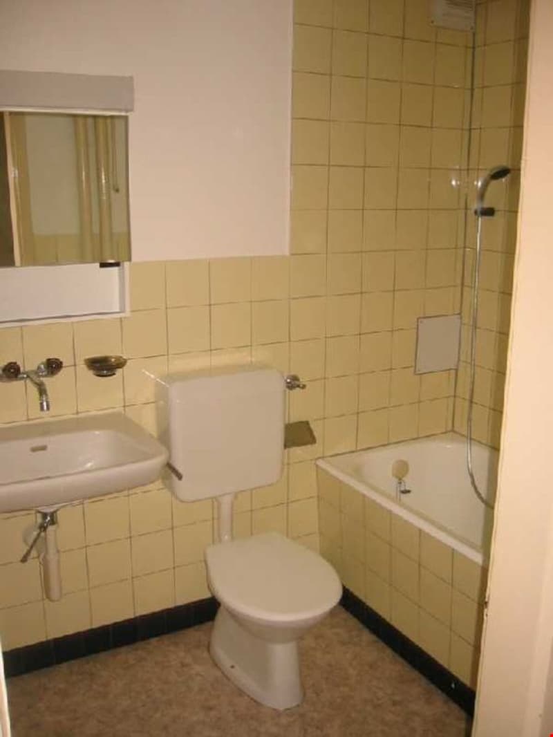 3 1/2 Zi.-Wohnung, sonnig und hell (6)