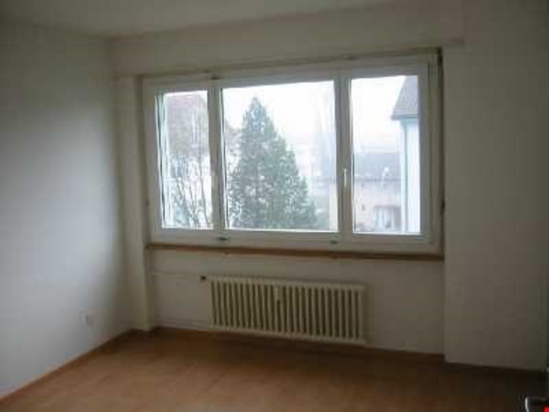 3 1/2 Zi.-Wohnung, sonnig und hell (5)
