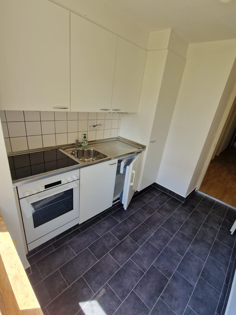 2 1/2 Zi.-Wohnung, sonnig und hell (6)