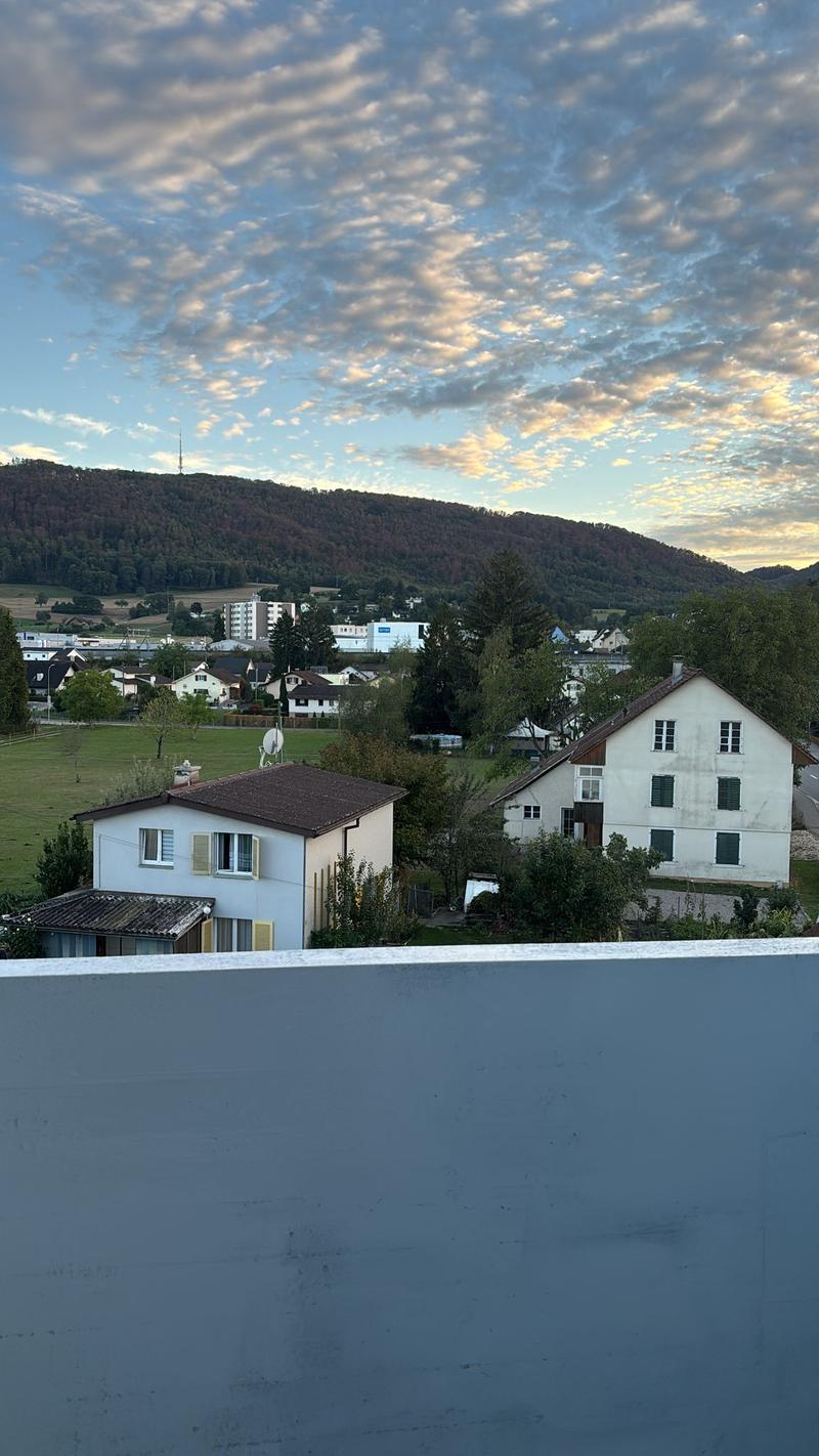 3 1/2 Zimmerwohnung; sonnig, ruhig und hell mit Aussicht (5)