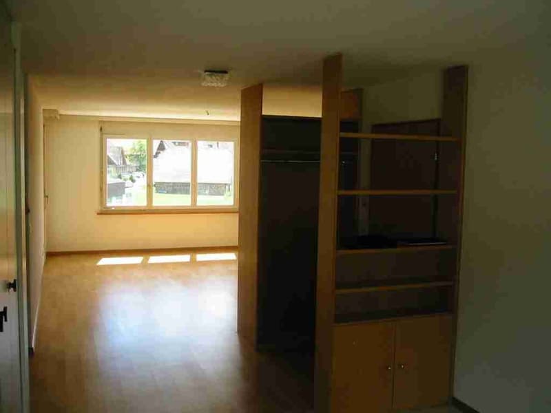 4 1/2 Zimmerwohnung; sonnige, ruhig und hell (4)