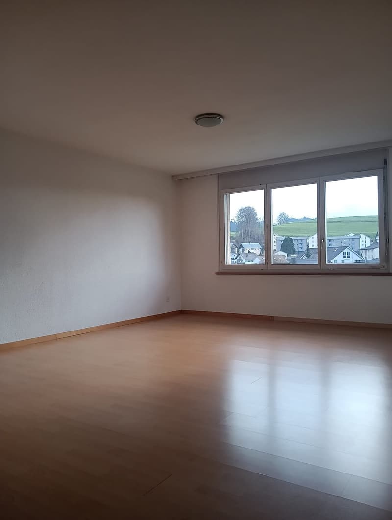 4 1/2 Zimmerwohnung; sonnige, ruhig und hell (2)