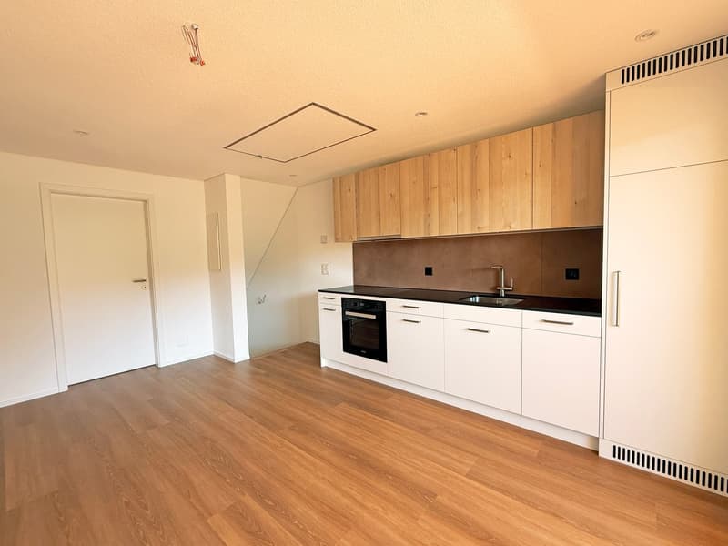 Erstbezug: 2.5-Zimmer-Dachwohnung in Langnau (4)