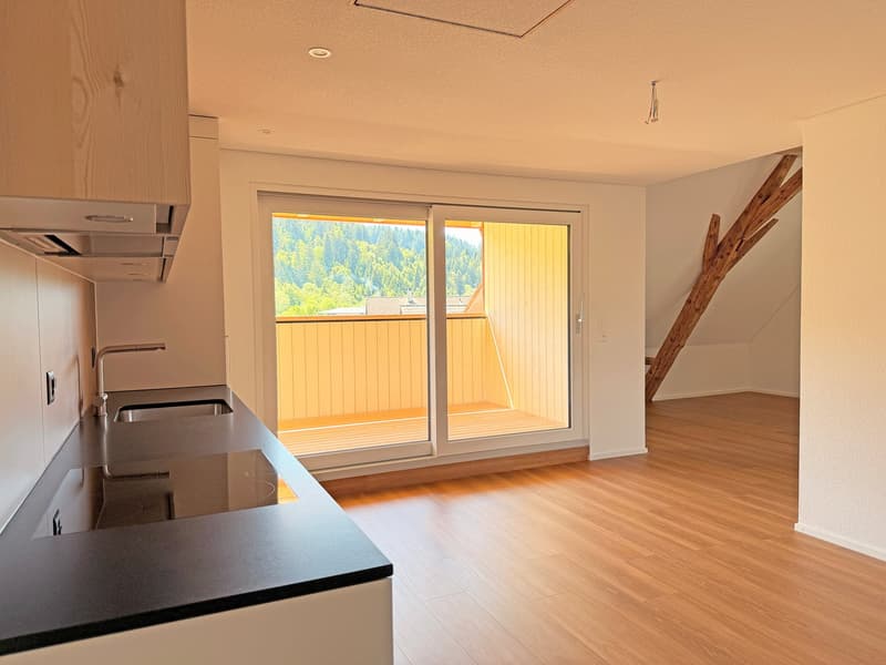 Erstbezug: 2.5-Zimmer-Dachwohnung in Langnau (1)