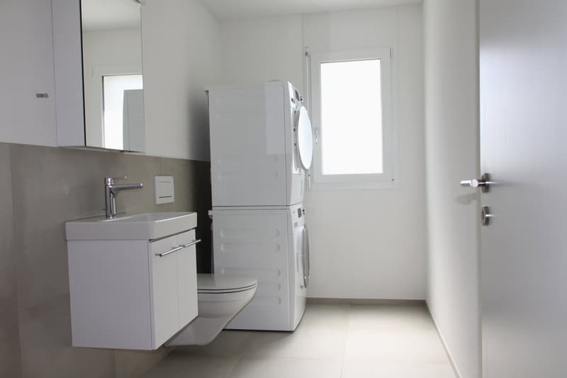 Gäste-WC mit Waschmaschine und Tumbler