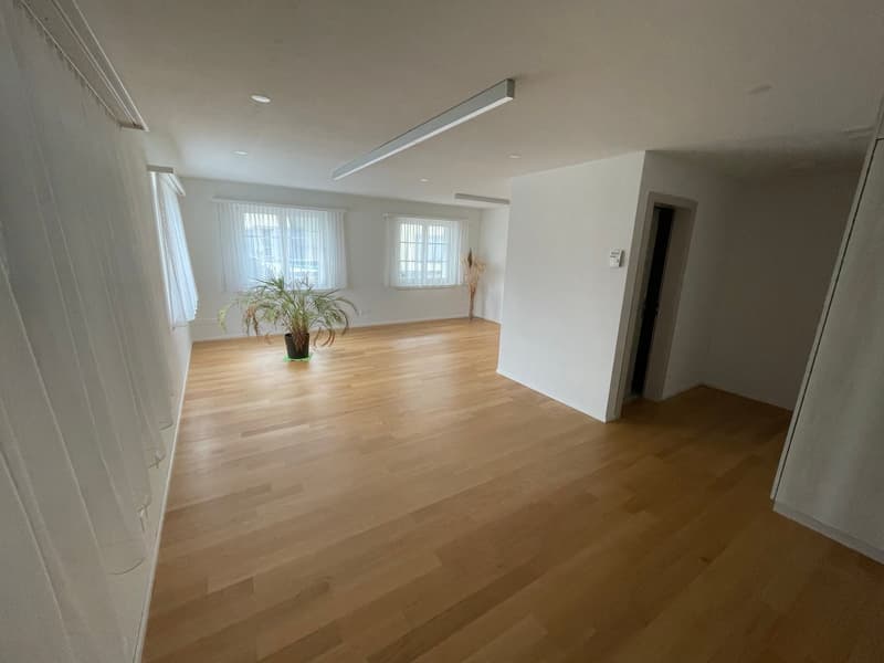 Büro-/ Gewerberäumlichkeiten im Zentrum von Schötz (13)