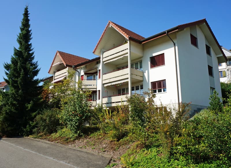 2.5 - Zimmerwohnung mit Weitsicht in Huttwil (2)