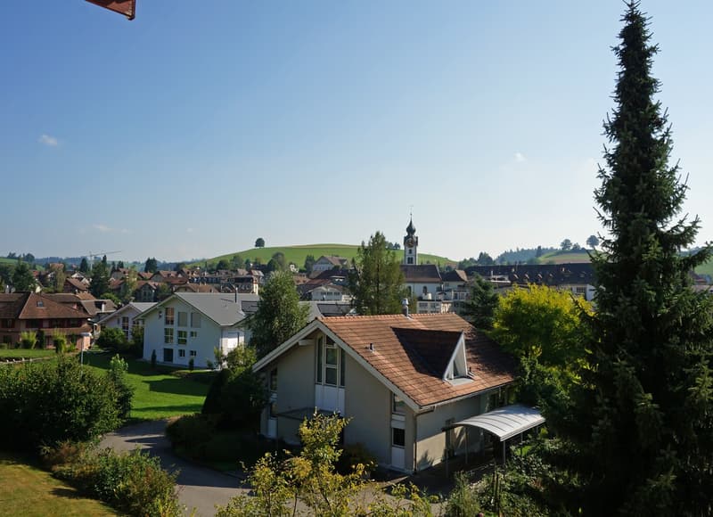 2.5 - Zimmerwohnung mit Weitsicht in Huttwil (5)