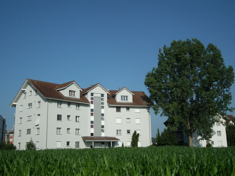 Helle 2.5 - Zimmerwohnung mit grossem Balkon (1)