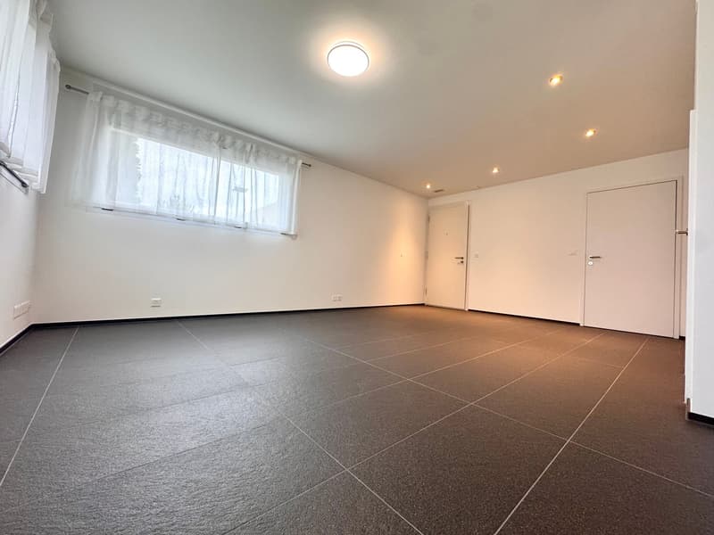 Parterrewohnung / Einliegerwohnung mit grossem Sitzplatz, Nähe Bahnhof (8)