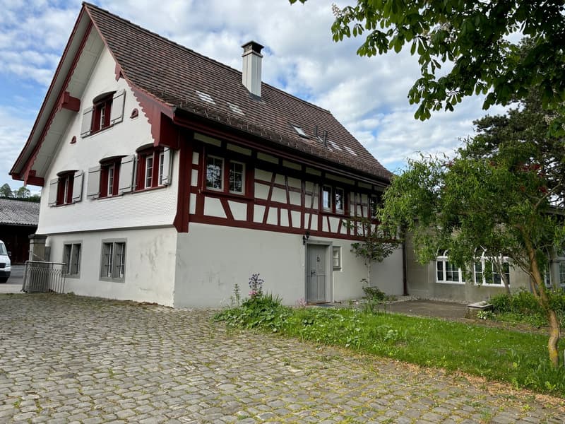 Bauernhaus (1)