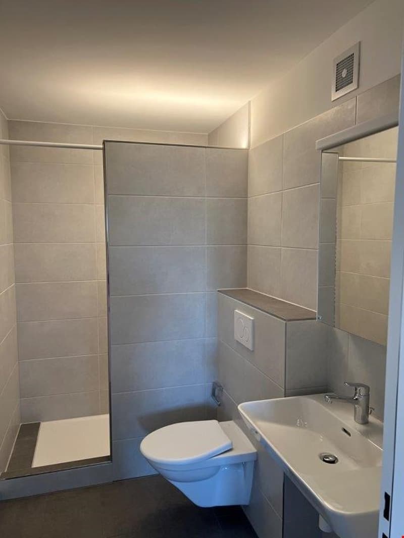The image shows a modern bathroom with gray tile walls, a wall-mounted toilet, a sink with a vanity, and a shower area with a glass partition.