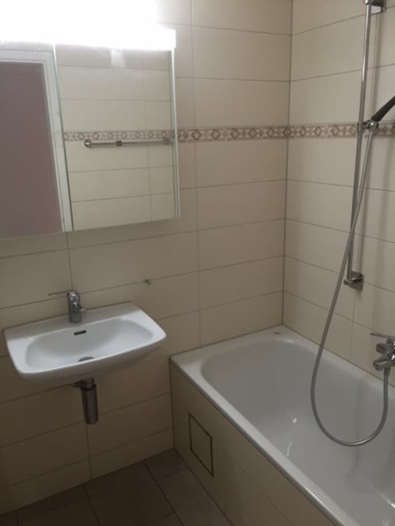 Bright, sunny 3-room apartment with balcony (6)
