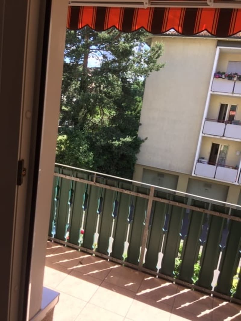 Bright, sunny 3-room apartment with balcony (8)
