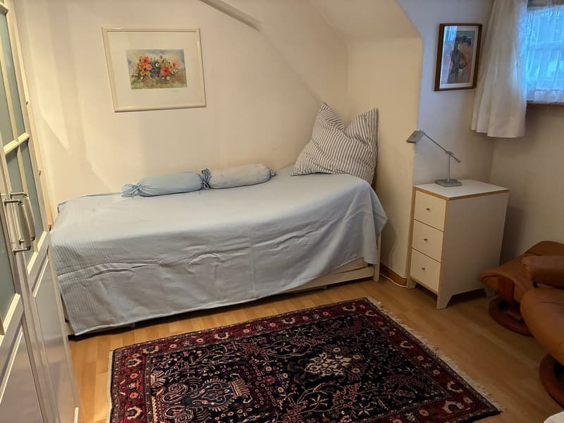 Geräumiges 7-Zimmerhaus mit Garten in Riehen (13)