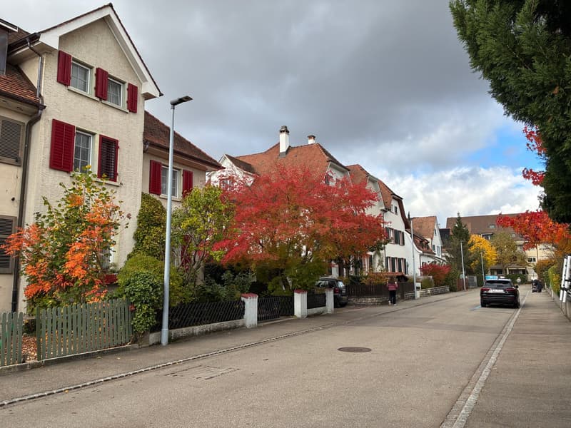 Geräumiges 7-Zimmerhaus mit Garten in Riehen (2)