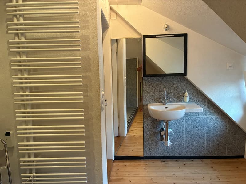 Geräumiges 7-Zimmerhaus mit Garten in Riehen (15)