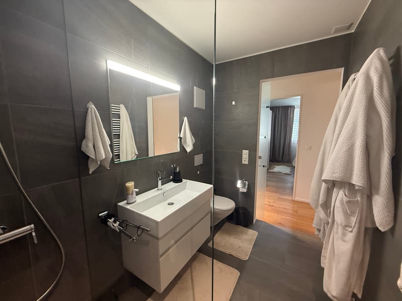 Helle, klimatisierte 2.5-Zimmer Wohnung mit Balkon und Tiefgaragenparkplatz (12)