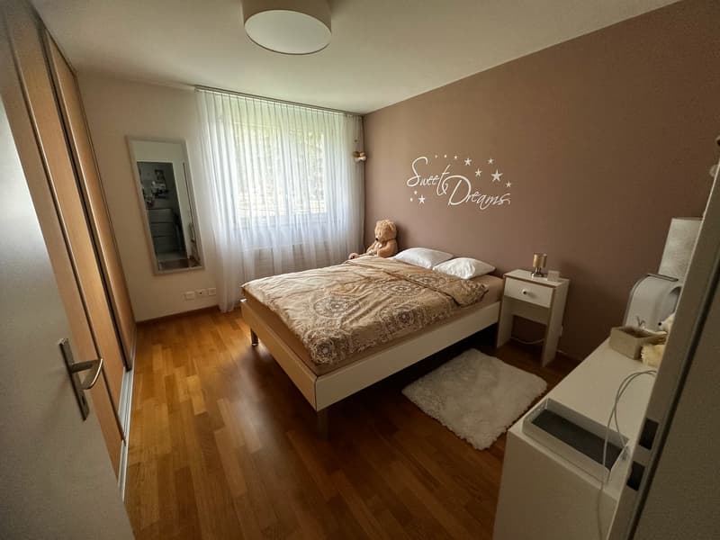 helle, sonnige, ruhige, renovierte 3-Zimmer-Wohnung mit Gartensitzplatz (8)
