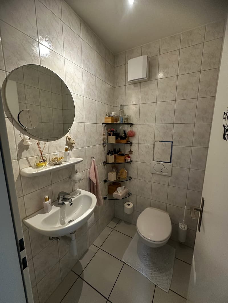 helle, sonnige, ruhige, renovierte 3-Zimmer-Wohnung mit Gartensitzplatz (19)