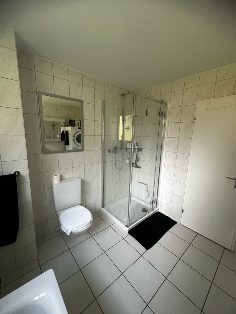 helle, sonnige, ruhige, renovierte 3-Zimmer-Wohnung mit Gartensitzplatz (17)