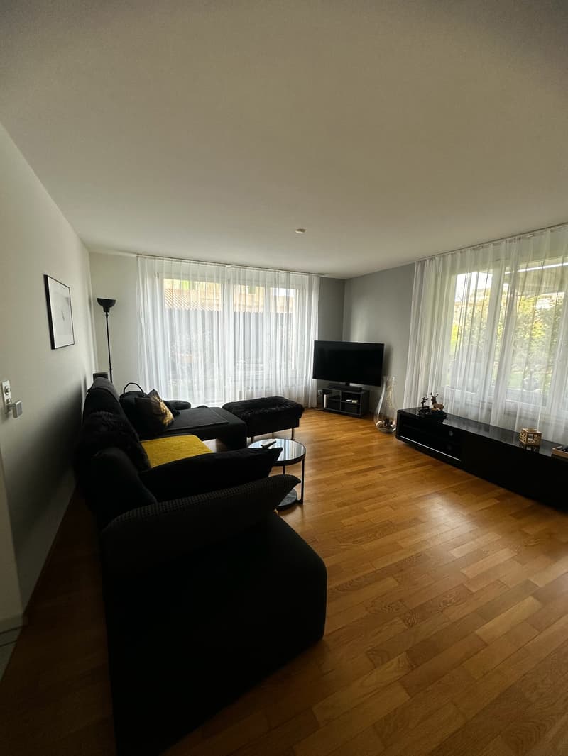 helle, sonnige, ruhige, renovierte 3-Zimmer-Wohnung mit Gartensitzplatz (6)
