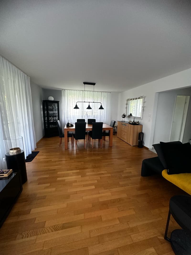 helle, sonnige, ruhige, renovierte 3-Zimmer-Wohnung mit Gartensitzplatz (7)